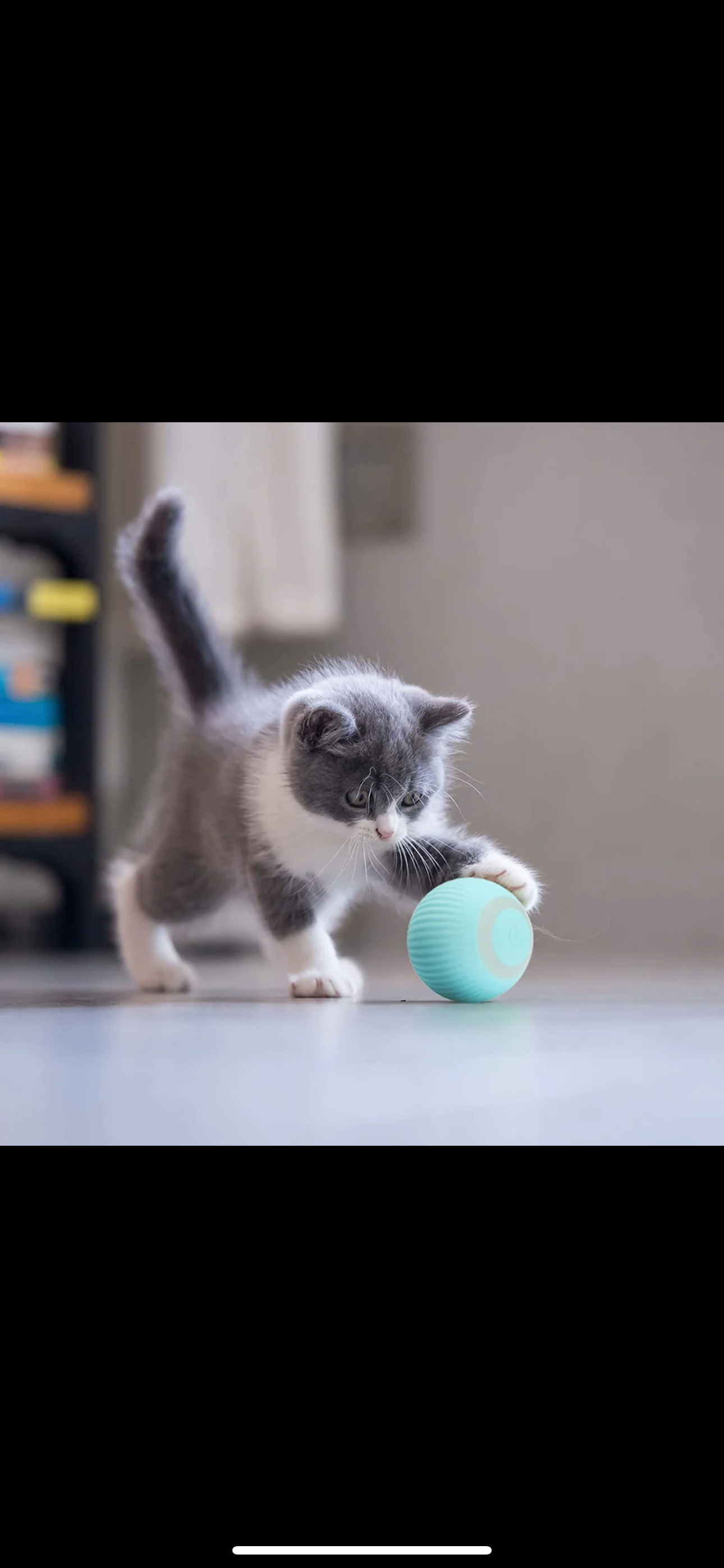 Automatisk rullande boll till katter