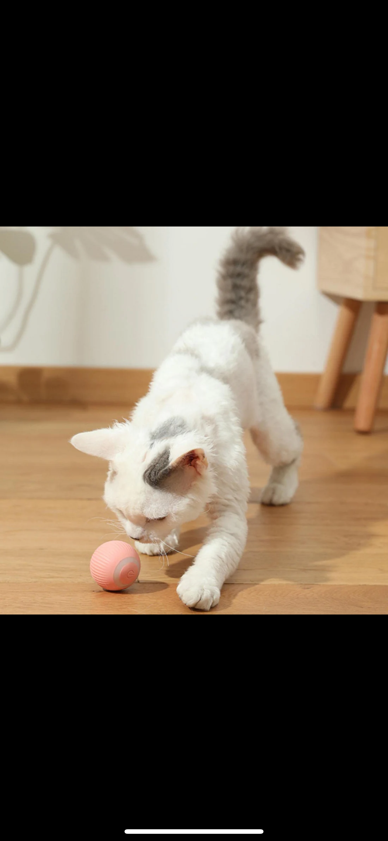 Automatisk rullande boll till katter